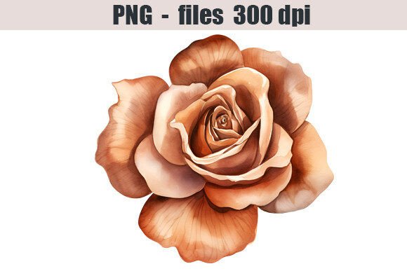 Download Bronze Rose Watercolor Clipart - Clipart Collection