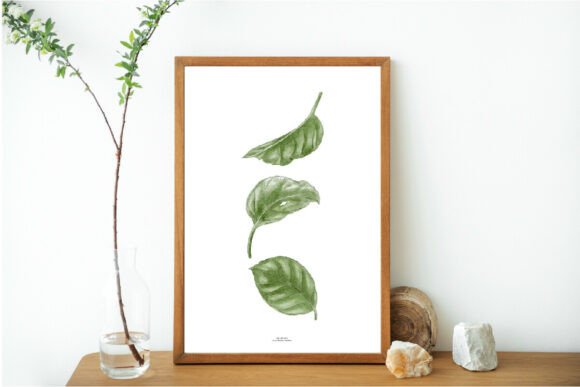 Download Green Leaves Print, Printable Art, Leaf - Premium Resources