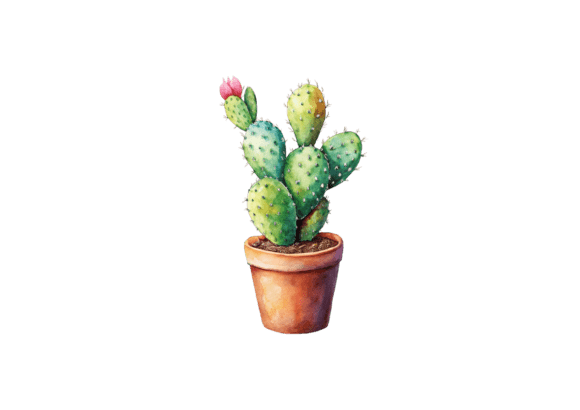 Download Cactus Clipart 3D Succulents Png Image - Clipart Collection