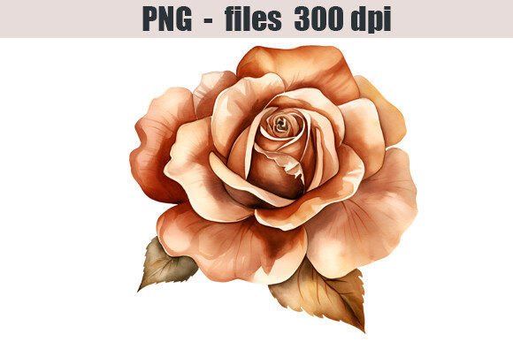 Download Bronze Rose Watercolor Clipart Graphic - Clipart Collection